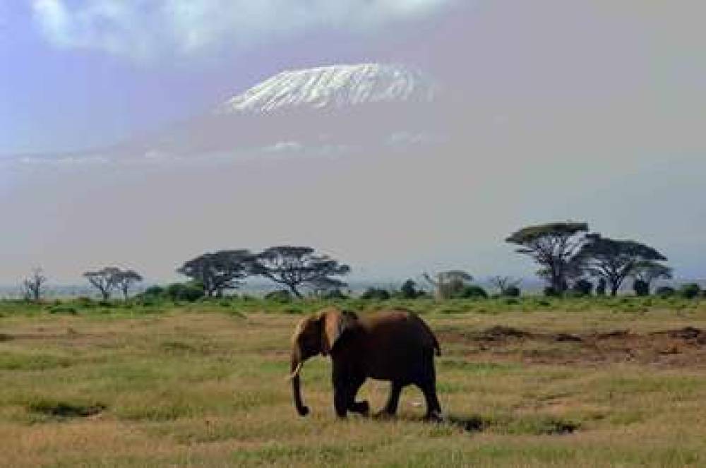 Amboseli Serena Safari Lodge