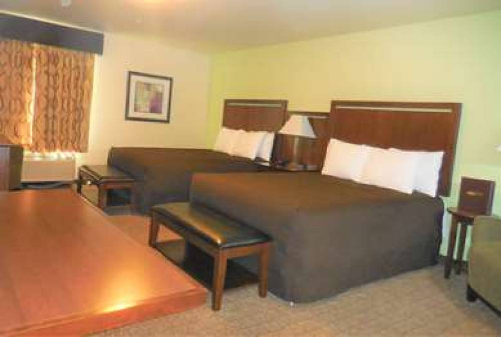 ASPEN SUITES HOTEL HOMER 6