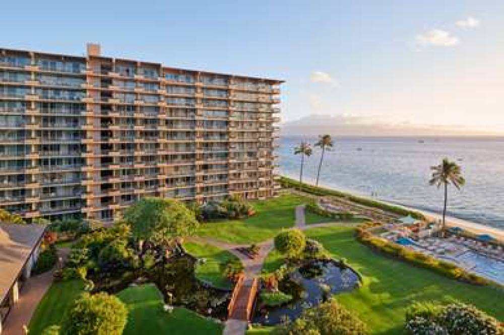 Aston At The Whaler On Kaanapali Beach 1