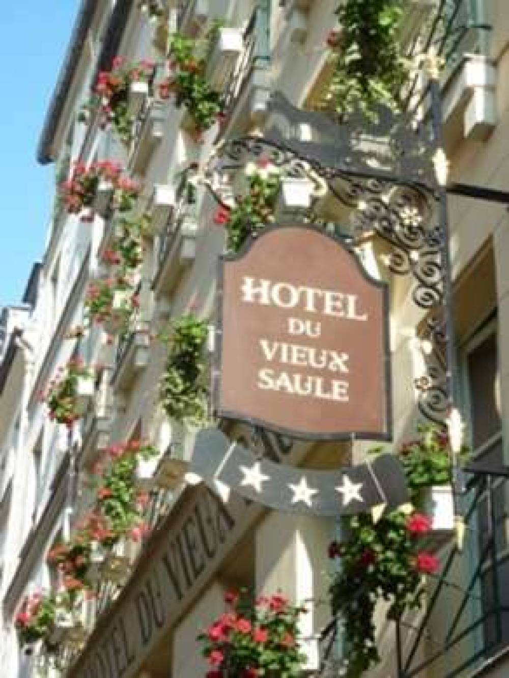 Atel Hotel Du Vieux Saule