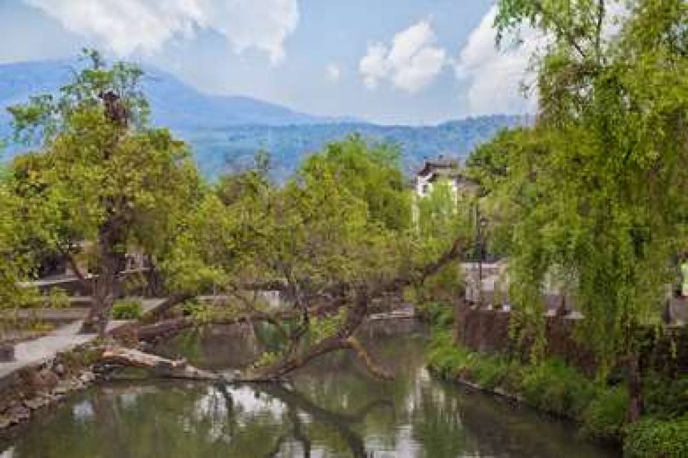 BANYAN TREE TENGCHONG 1