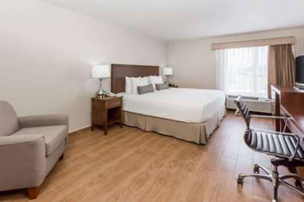 BAYMONT INN SUITES LAZARO CA 6