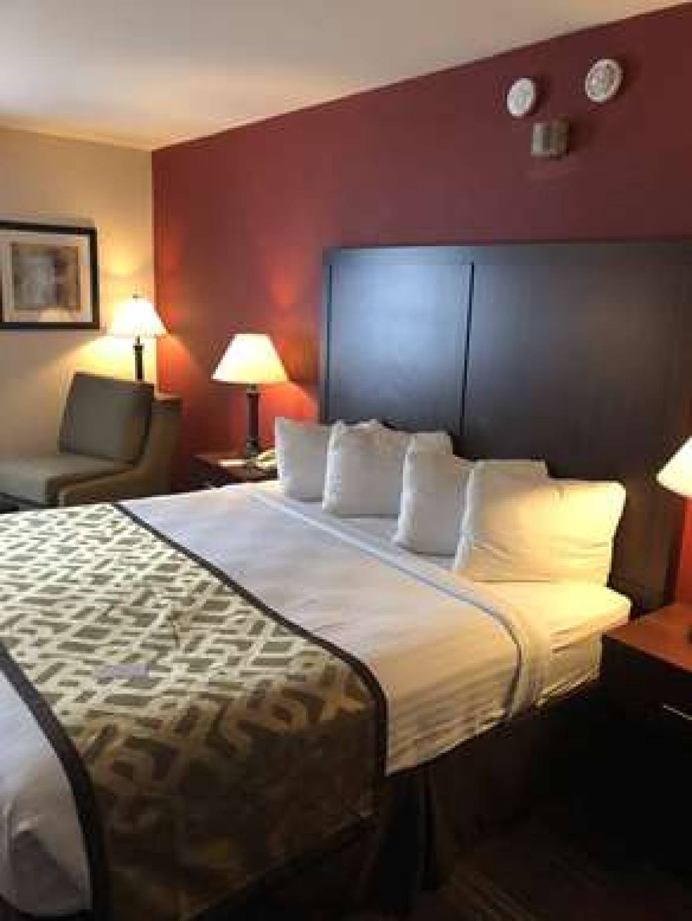 Best Western Dallas Inn & Suites 9