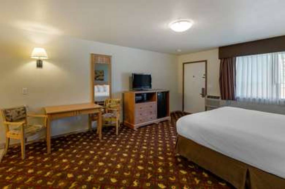 Best Western King Salmon Inn 7