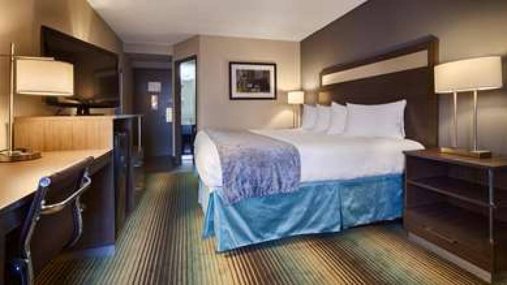 Best Western O'Hare North/Elk Grove Hotel 2