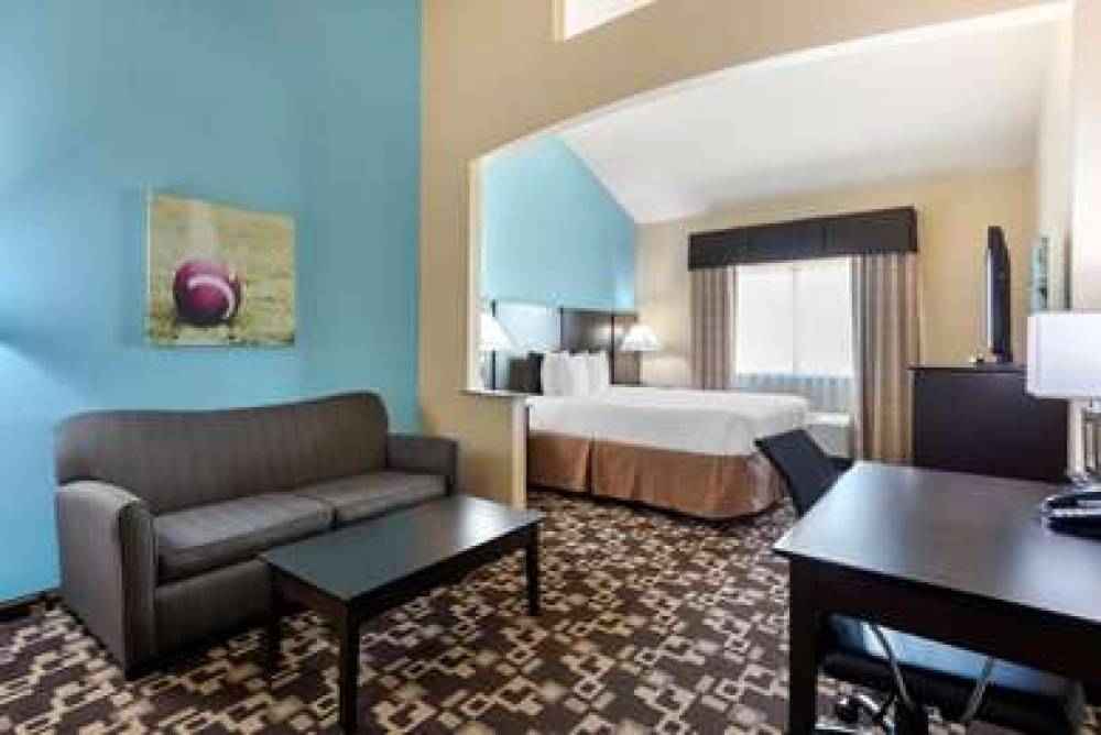 Best Western Plus Arlington North Hotel & Suites 7