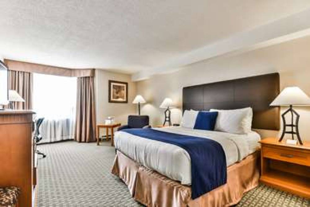 Best Western Plus Cambridge Hotel 8