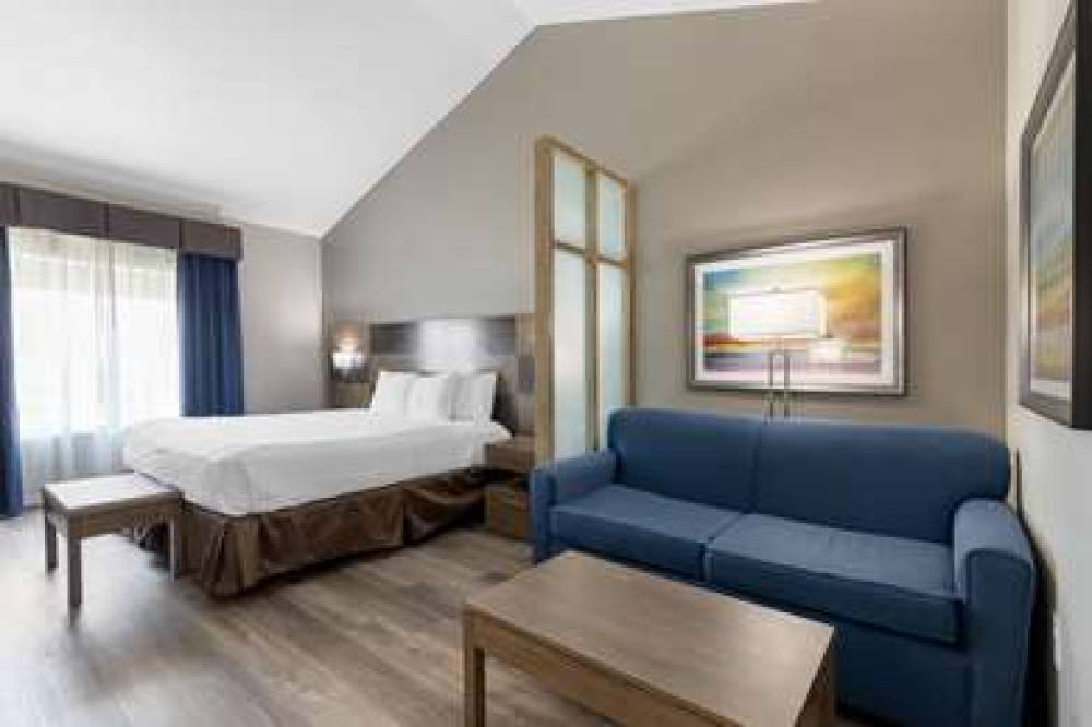 Best Western Plus Downtown North 6