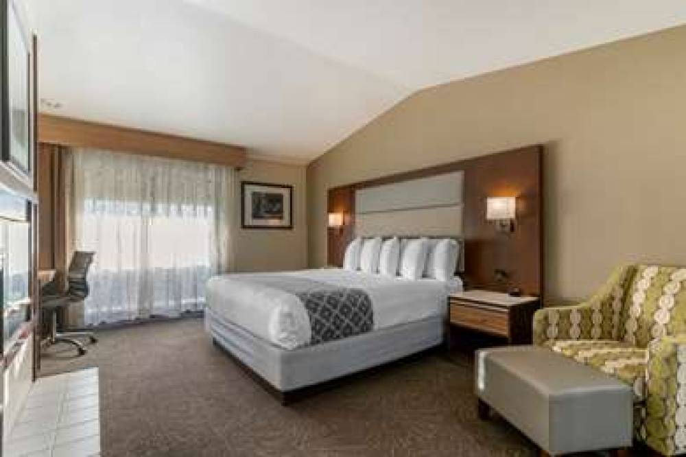 Best Western Plus Forest Park Inn 7