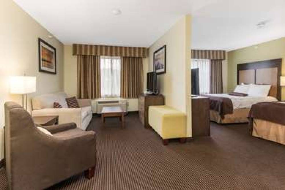 Best Western Plus Holland Inn & Suites 7