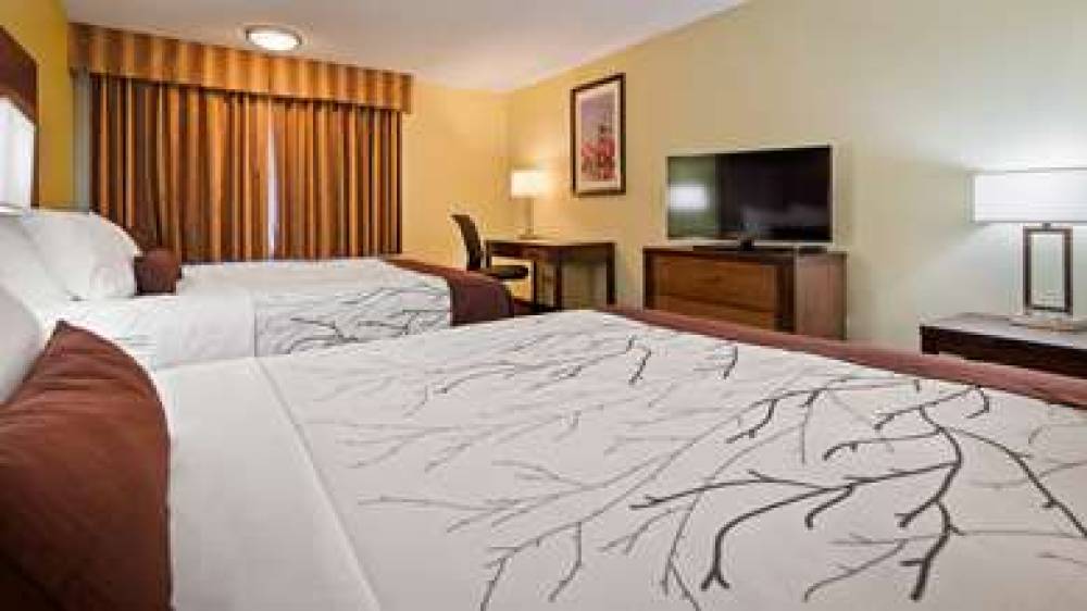 Best Western Plus Holland Inn & Suites 9