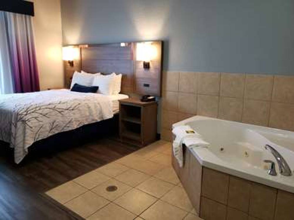 Best Western Plus San Antonio East Inn & Suites 7