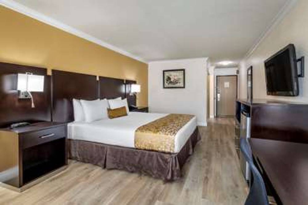 Best Western Plus South Bay Hotel 9