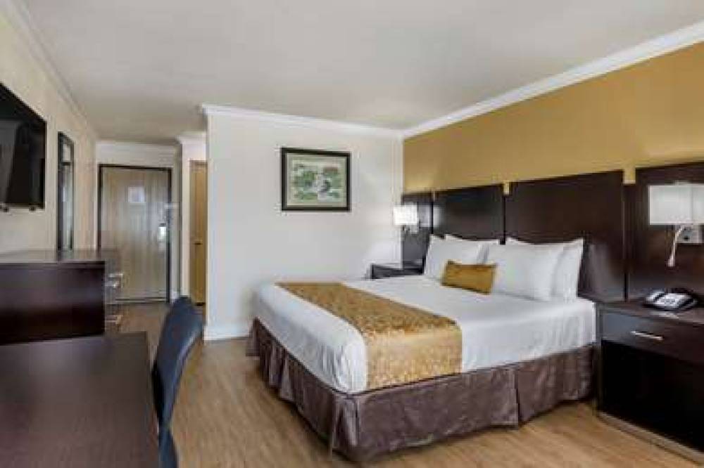 Best Western Plus South Bay Hotel 8