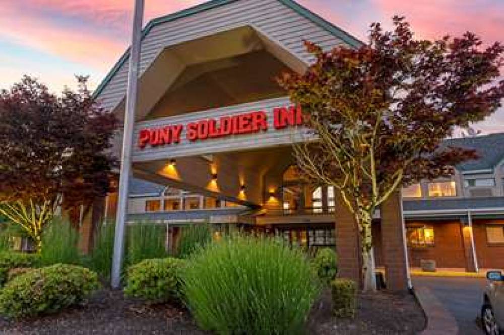 Best Western Pony Soldier Inn - Airport 3