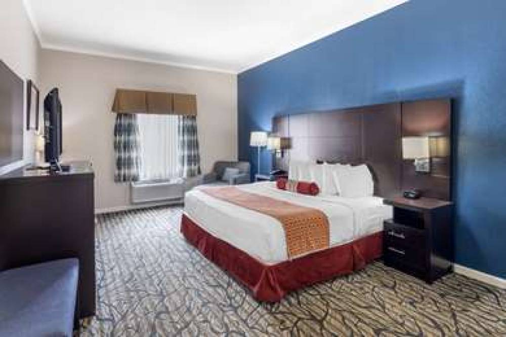 Best Western Spring Hill Inn & Suites 3