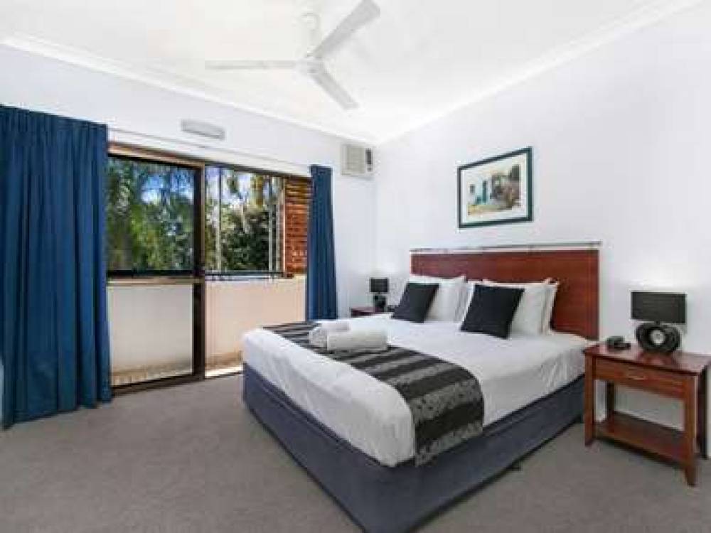 CAIRNS CITY PALMS 6