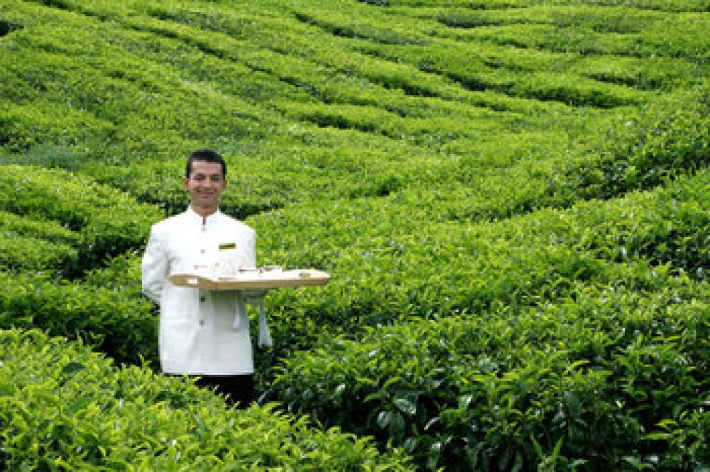 Cameron Highlands Resort 8