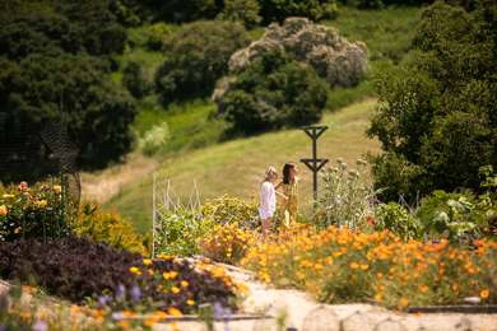 CARMEL VALLEY RANCH 2