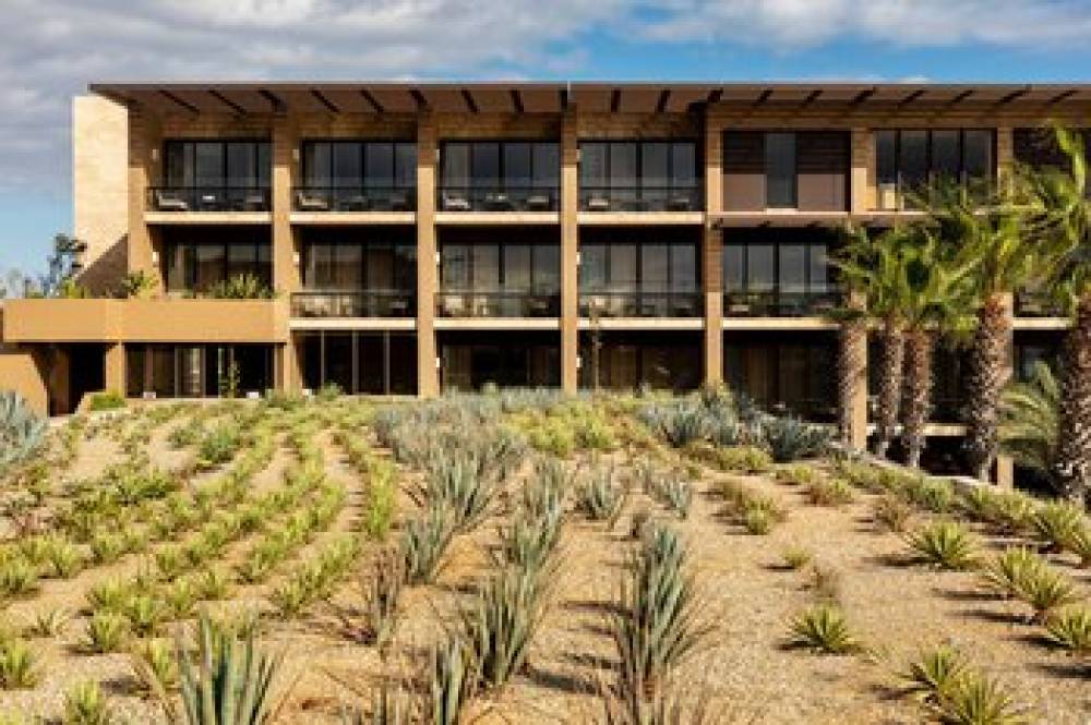 Casa Maat At JW Marriott Los Cabos Beach Resort And Spa 5