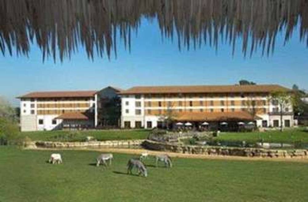 Chessington Resort Hotels