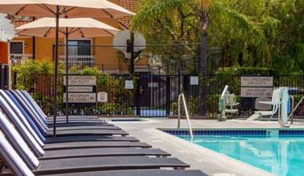 CLEMENTINE HOTEL AND SUITES ANAHEIM 2