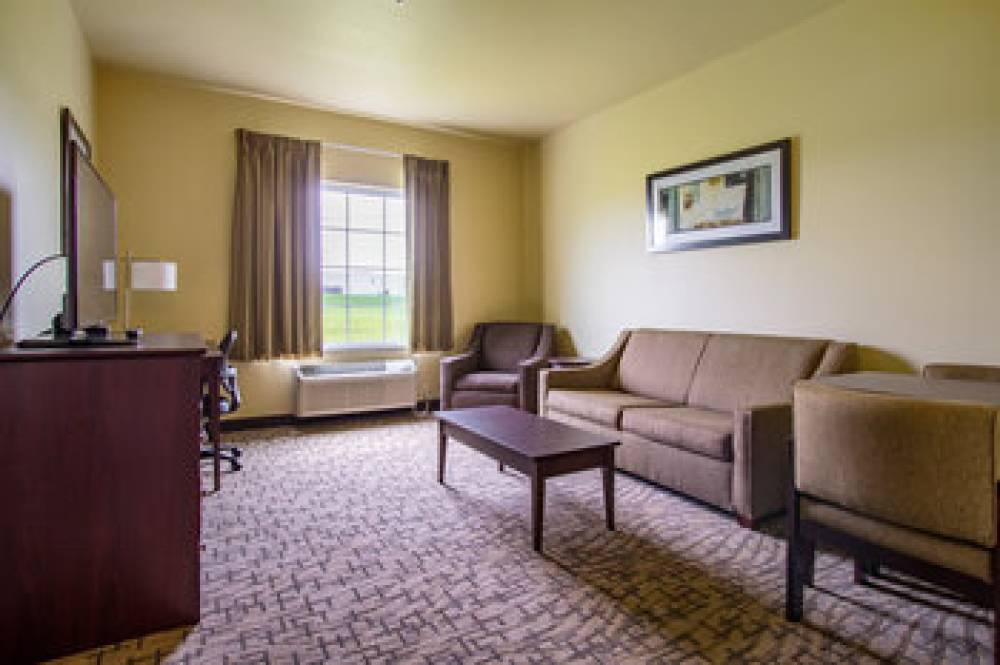 COBBLESTONE HOTEL ORRVILLE 10