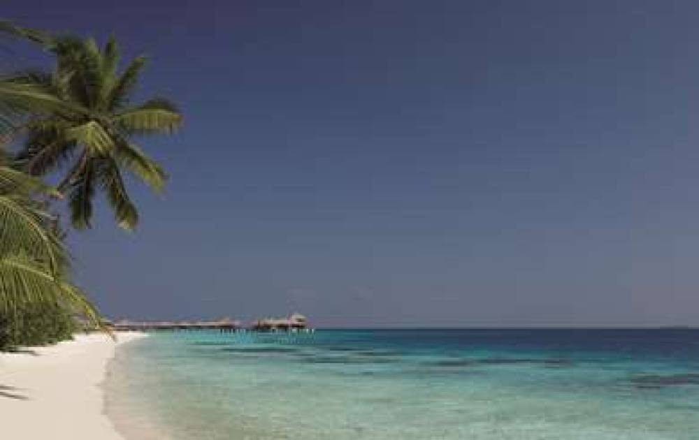 COCO BODU HITHI MALDIVES 2