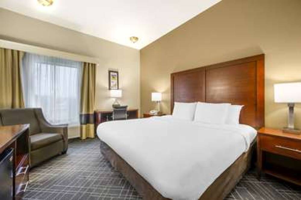 Comfort Inn Airport Turfway Road 5