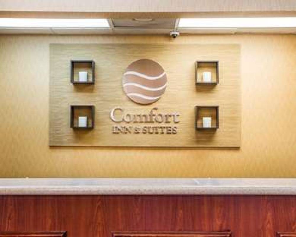 Comfort Inn And Suites At Stone Mountain 7