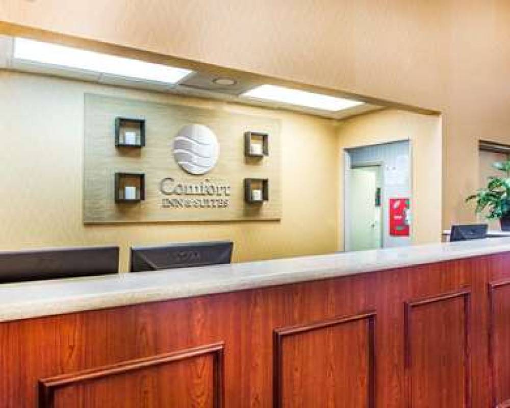 Comfort Inn And Suites At Stone Mountain 6