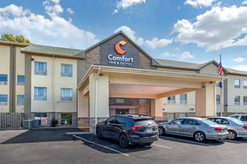 COMFORT INN AND SUITES 1