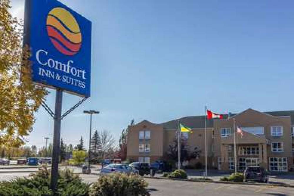 Comfort Inn And Suites 1