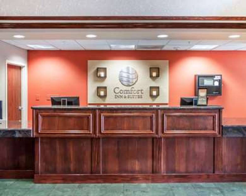 Comfort Inn And Suites 8