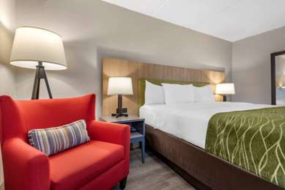 COMFORT INN AND SUITES 10