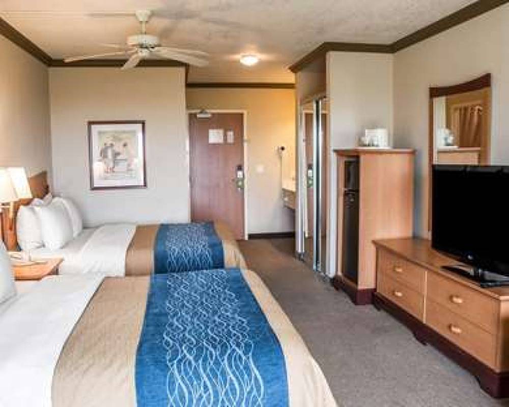 Comfort Inn And Suites 4