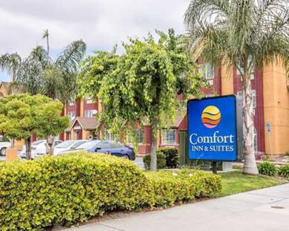 Comfort Inn And Suites 1