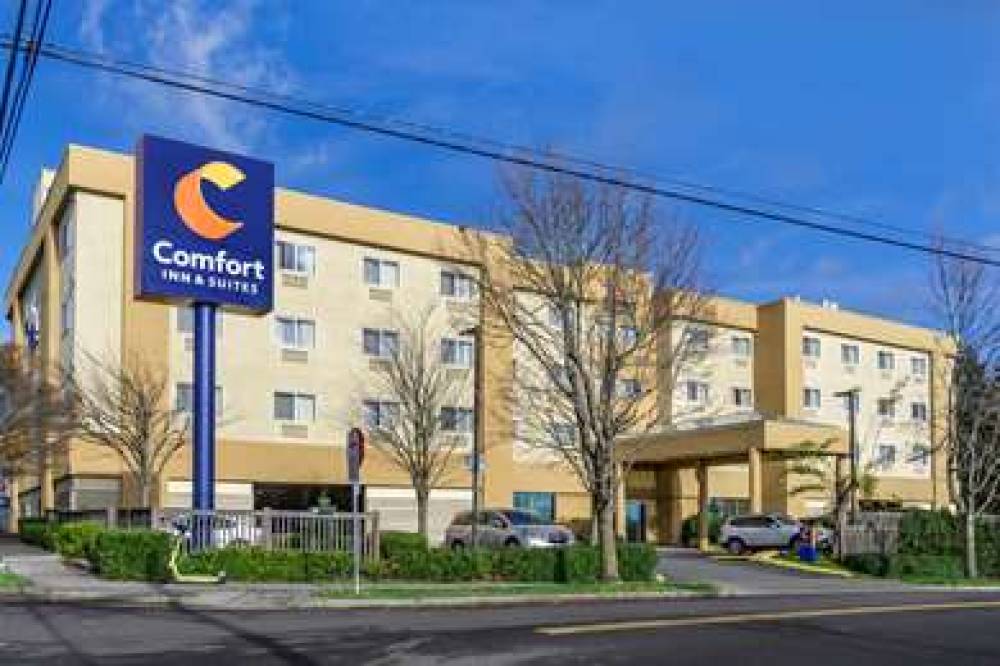 Comfort Inn And Suites 1