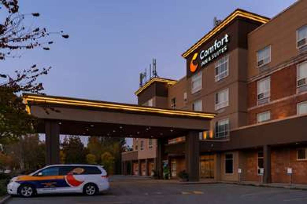 Comfort Inn And Suites 1