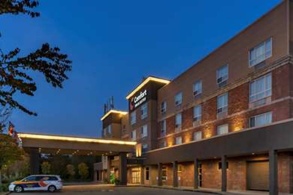 Comfort Inn And Suites 2