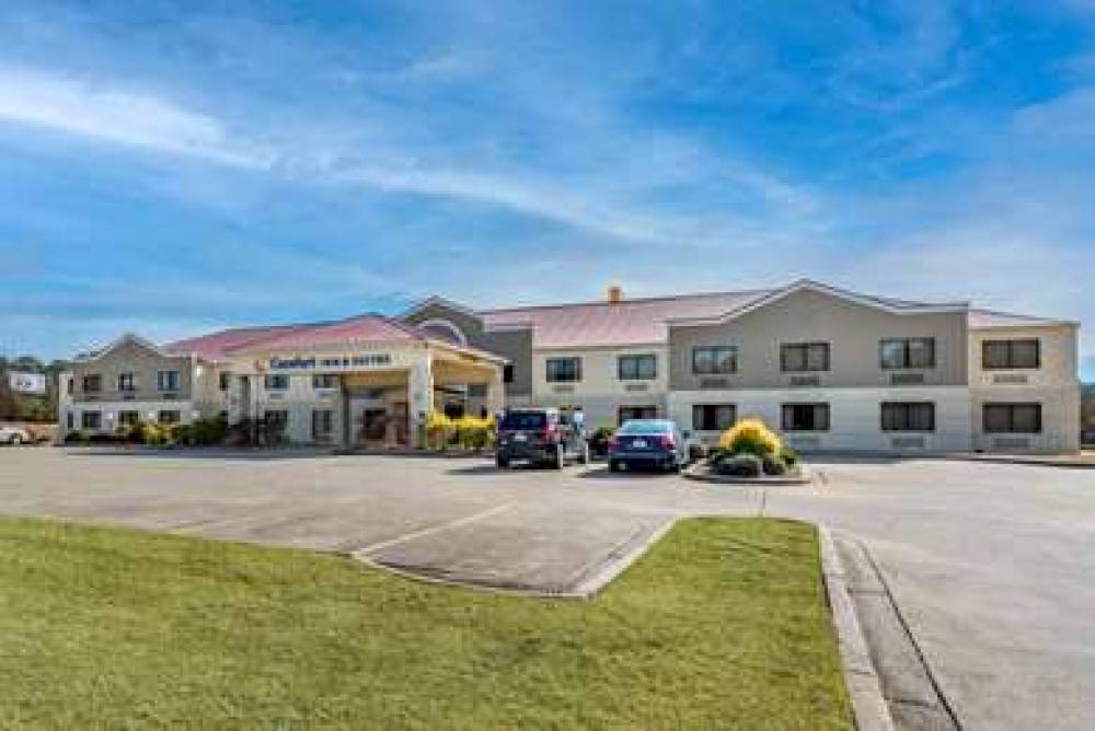 Comfort Inn And Suites 1