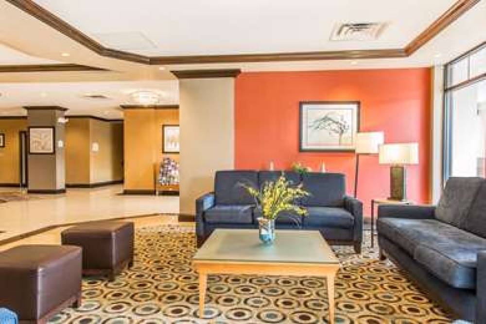 COMFORT INN AND SUITES 7