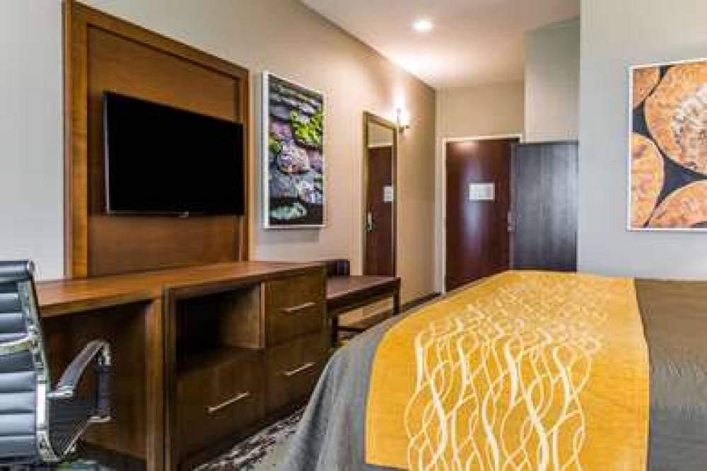 COMFORT INN AND SUITES 9