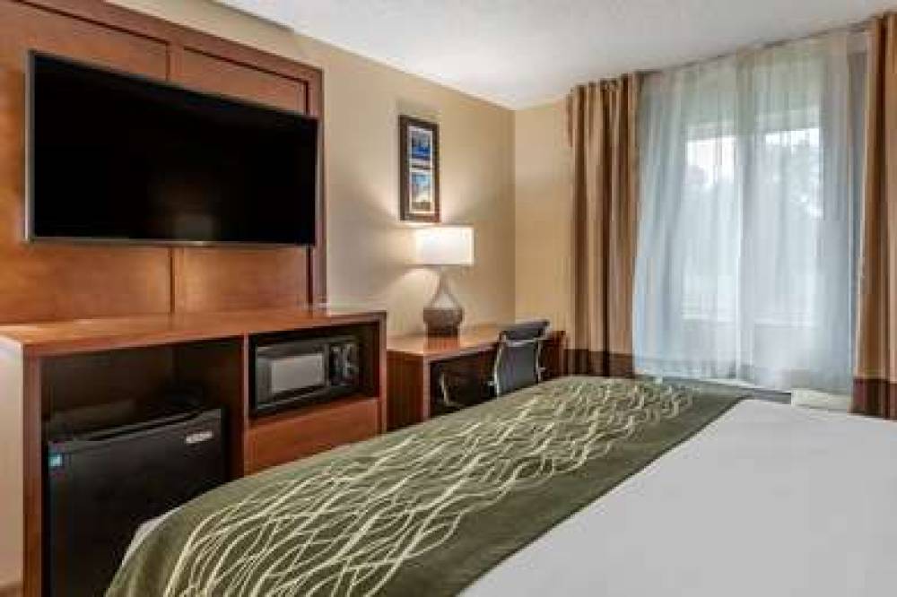 Comfort Inn And Suites Dimondale - Lansing 6