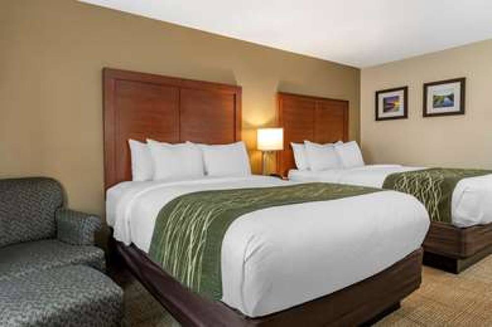 Comfort Inn And Suites Dimondale - Lansing 10