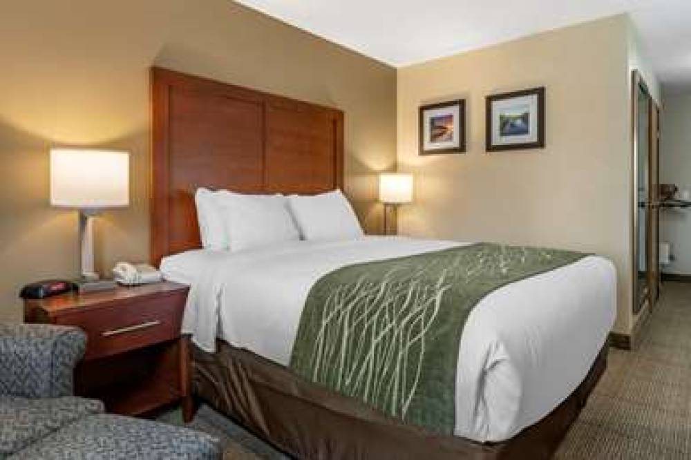 Comfort Inn And Suites Dimondale - Lansing 7