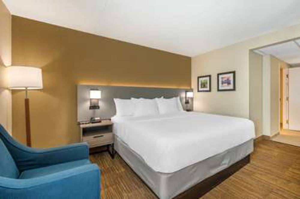 Comfort Inn And Suites East Hartford - Hartford 3