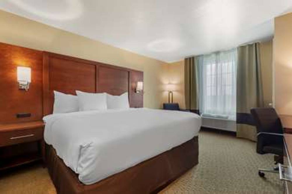 COMFORT INN AND SUITES EULESS DFW W 5