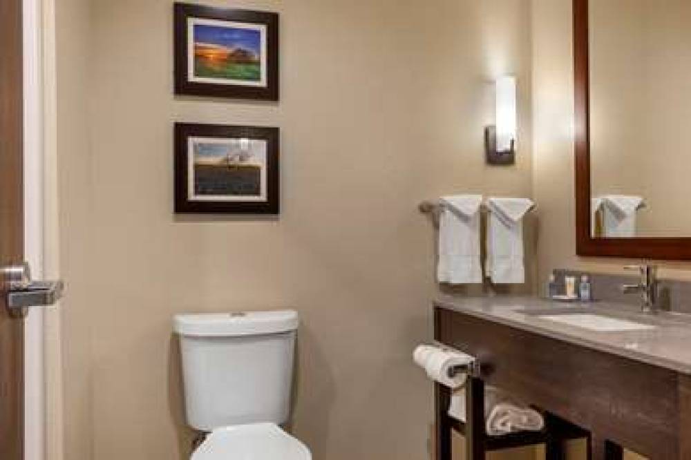 COMFORT INN AND SUITES EULESS DFW W 9