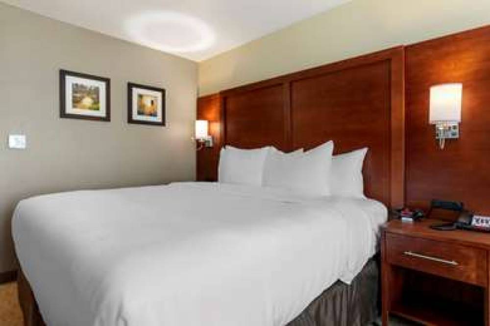 COMFORT INN AND SUITES EULESS DFW W 6